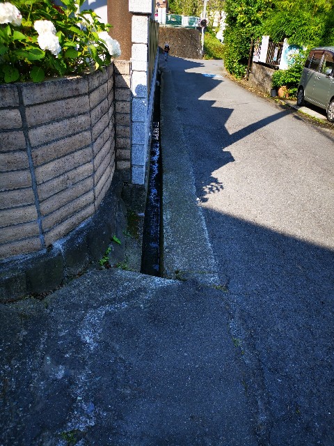 f:id:masato19641105:20210609005951j:image f:id:masato19641105:20210609005951j:image