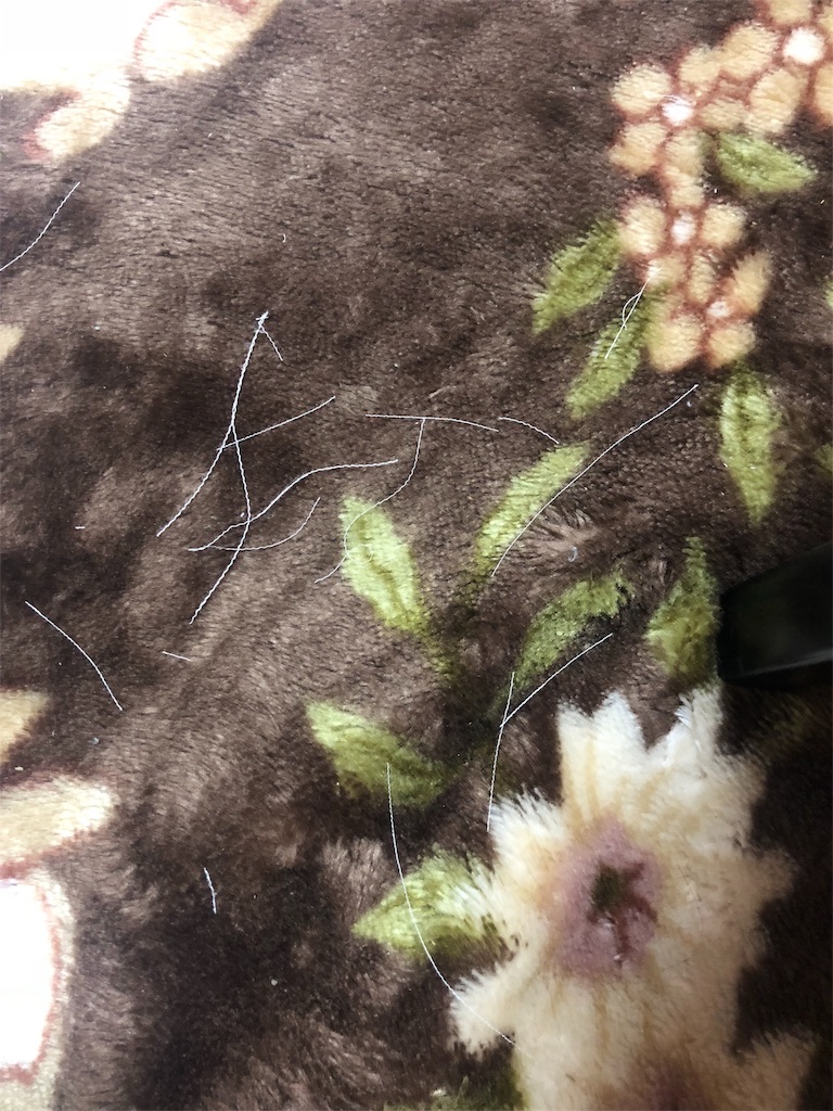 f:id:masatofamily:20190122224851j:image