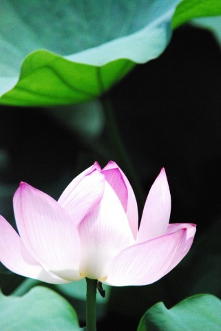 f:id:masatomo18:20091007115627j:image f:id:masatomo18:20091007115627j:image