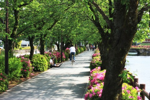 f:id:masatomo18:20110325162033j:image