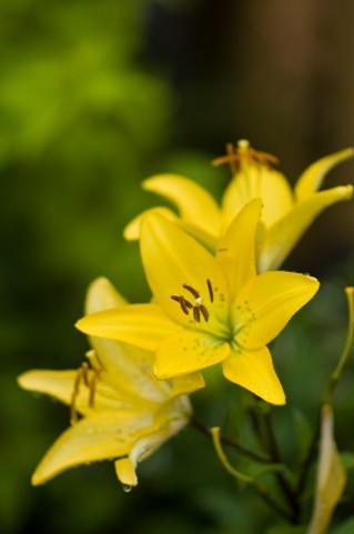 f:id:masatomo18:20110406085706j:image