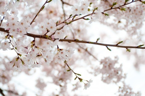 f:id:masatomo18:20110410185051j:image