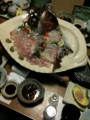 20110220214929