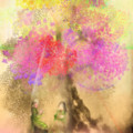 20110508022320