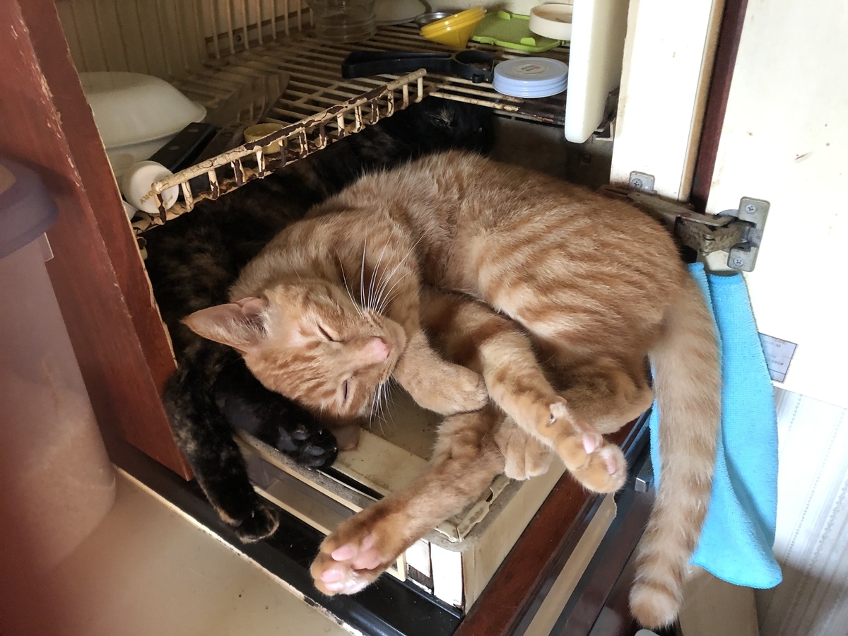 f:id:masatoshix:20191007174620j:plain