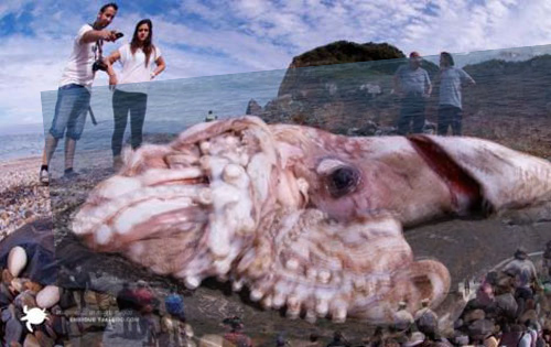 f:id:masawada:20140110221106j:plain