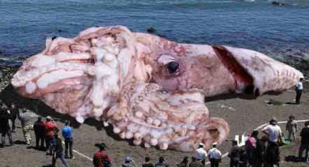 f:id:masawada:20140110221148j:plain