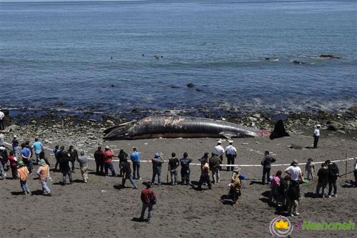 f:id:masawada:20140110221530j:plain