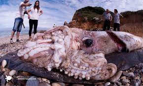 f:id:masawada:20140110221541j:plain