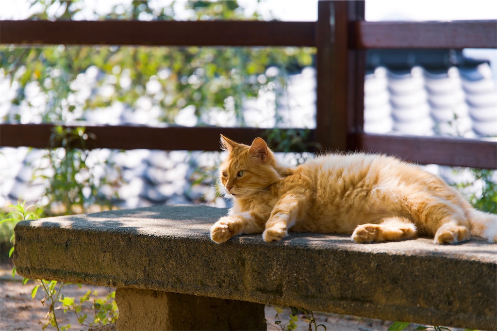 f:id:masawada:20190907132813j:plain f:id:masawada:20190907132813j:plain