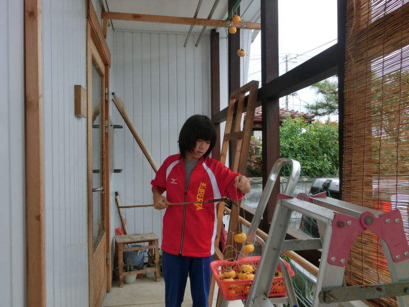 f:id:masaya50:20121109114237j:image:w640