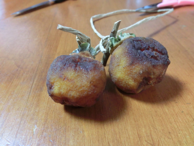 f:id:masaya50:20121109114239j:image:w640