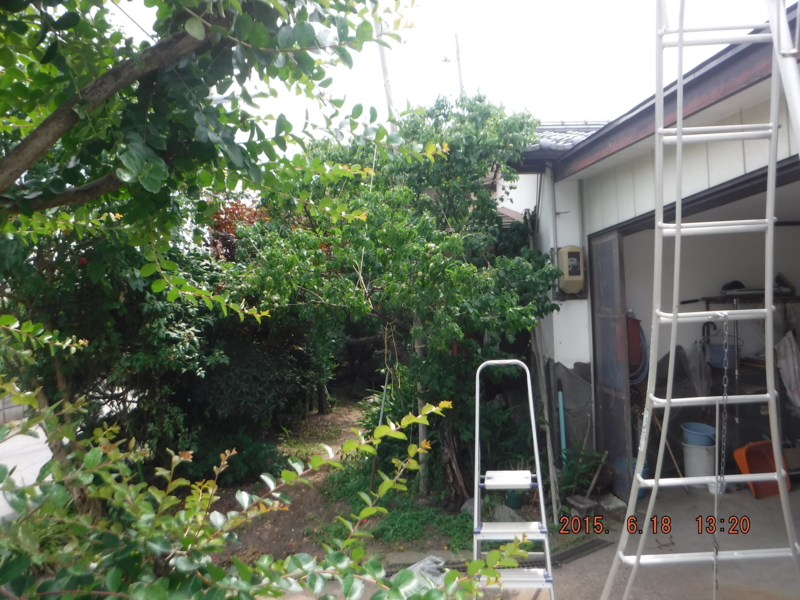 f:id:masaya50:20150619021732j:image:w640