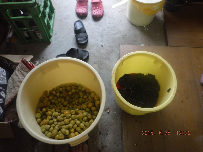 f:id:masaya50:20150626105651j:image:w640 f:id:masaya50:20150626105651j:image:w640