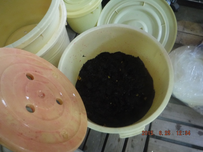 f:id:masaya50:20150626105653j:image:w640 f:id:masaya50:20150626105653j:image:w640