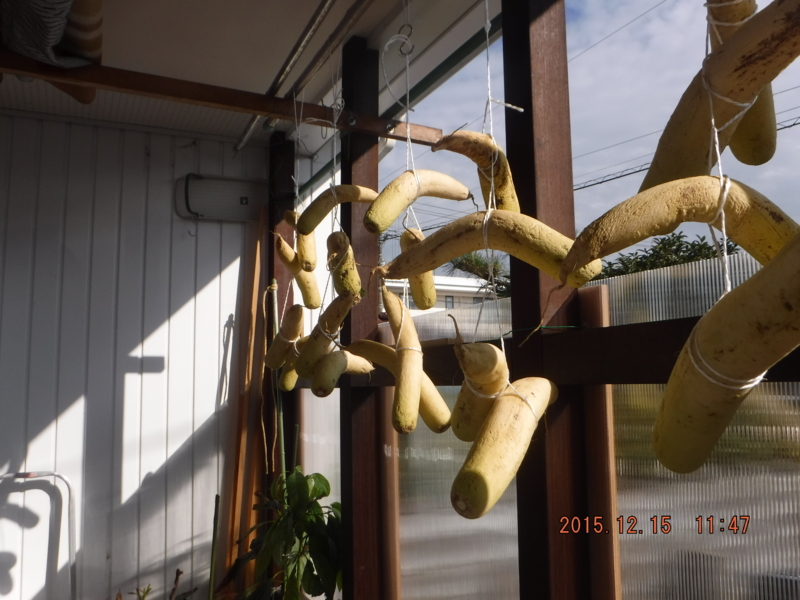 f:id:masaya50:20151217050811j:image:w300