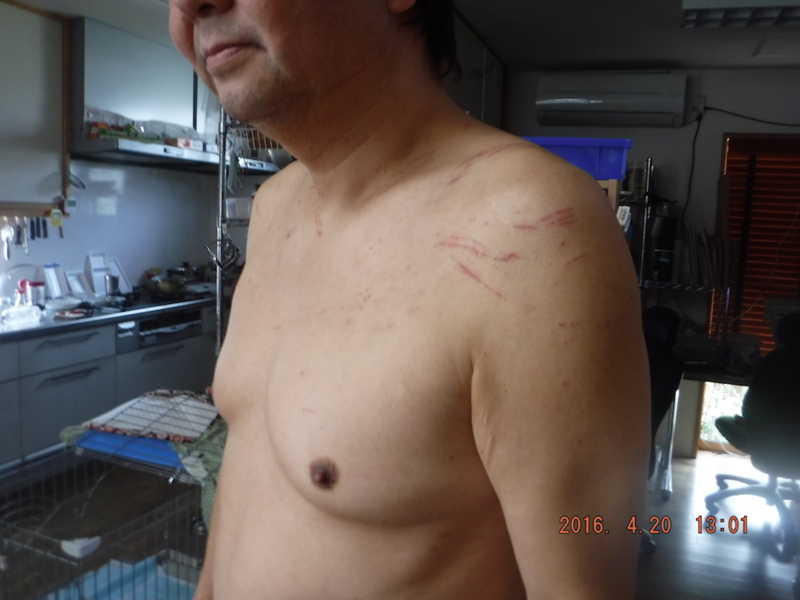 f:id:masaya50:20160421043849j:image:w300