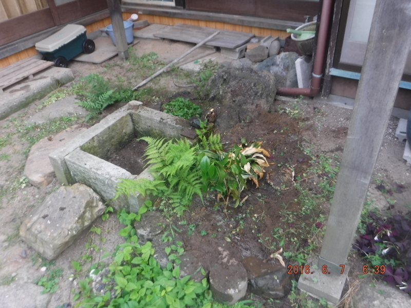 f:id:masaya50:20160608031356j:image:w300