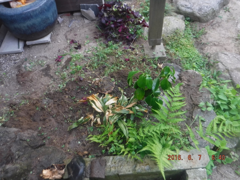 f:id:masaya50:20160608031359j:image:w300 f:id:masaya50:20160608031359j:image:w300