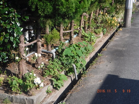 f:id:masaya50:20161106085017j:image:w300 f:id:masaya50:20161106085017j:image:w300