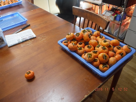 f:id:masaya50:20161106085020j:image:w300