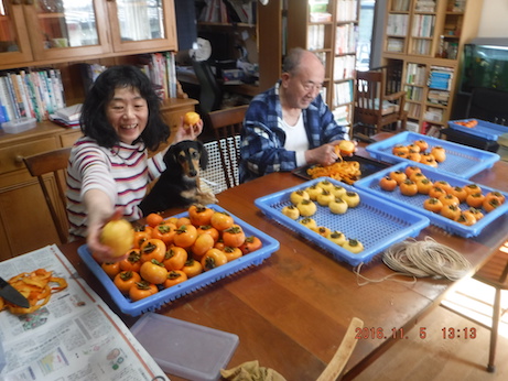 f:id:masaya50:20161106085026j:image:w300