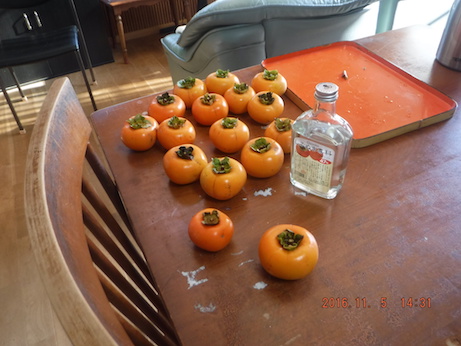 f:id:masaya50:20161106085028j:image:w300