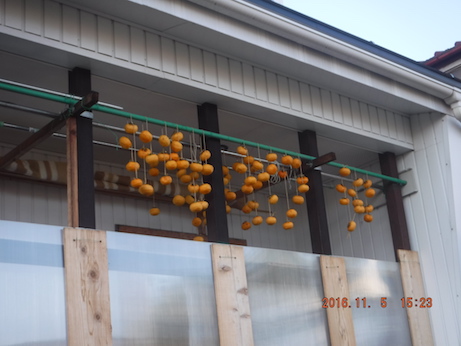 f:id:masaya50:20161106085030j:image:w300