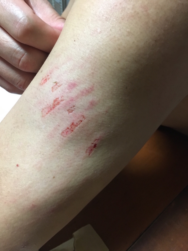 f:id:masaya50:20170701051111j:image:w150:left