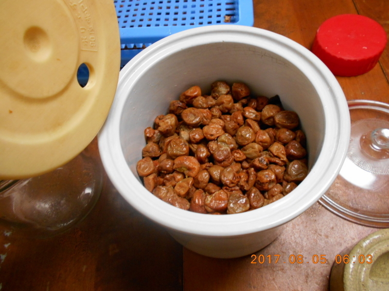 f:id:masaya50:20170805104536j:image:w300:left