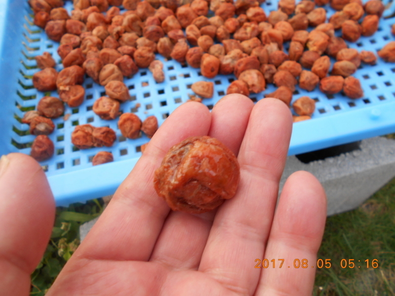 f:id:masaya50:20170805104544j:image:w300:left