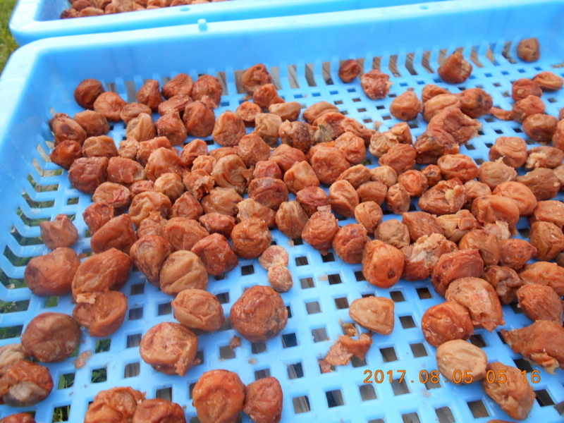 f:id:masaya50:20170805104548j:image:w300:left