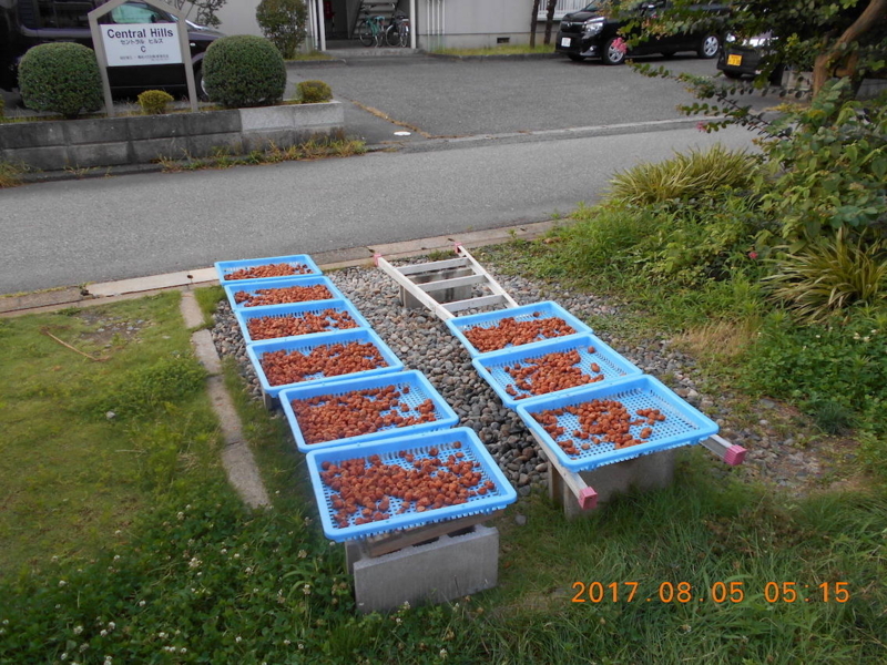 f:id:masaya50:20170805104552j:image:w300:left