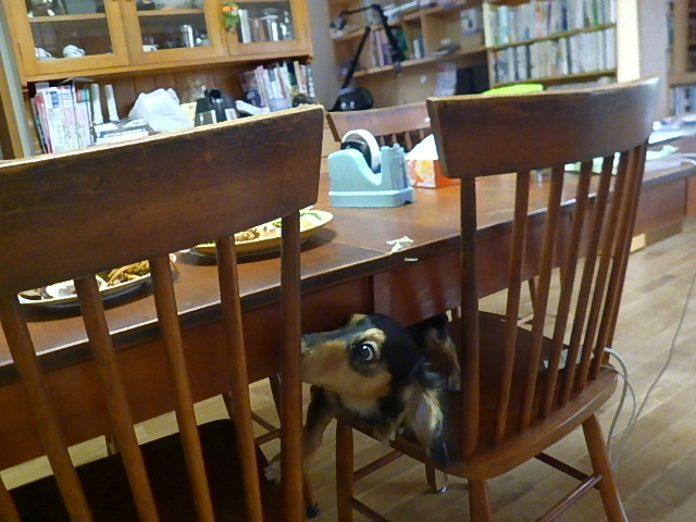 f:id:masaya50:20171012021107j:image:w300:left