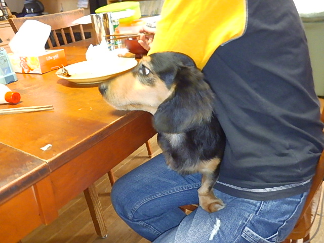 f:id:masaya50:20171012021323j:image:w300:left