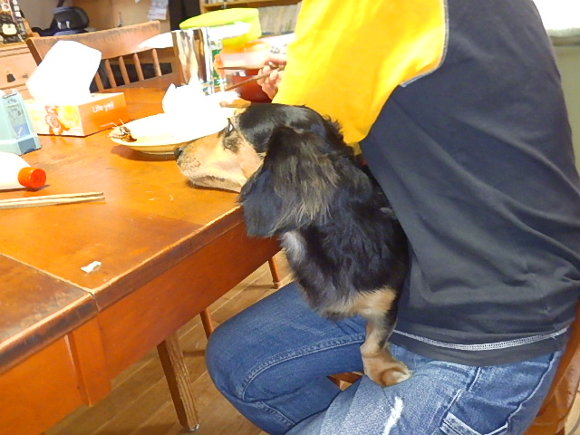 f:id:masaya50:20171012021324j:image:w300:left