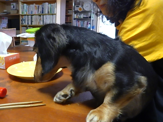 f:id:masaya50:20171012021326j:image:w300:left