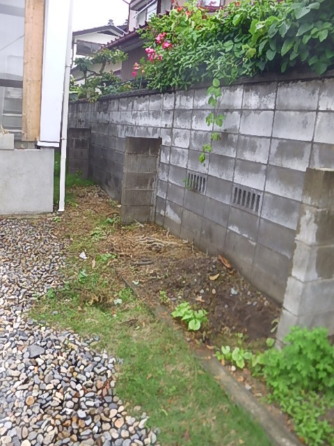 f:id:masaya50:20180524163146j:image:w300:left f:id:masaya50:20180524163146j:image:w300:left