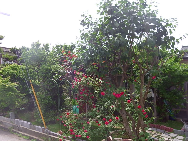 f:id:masaya50:20180525173546j:image:w640:left f:id:masaya50:20180525173546j:image:w640:left