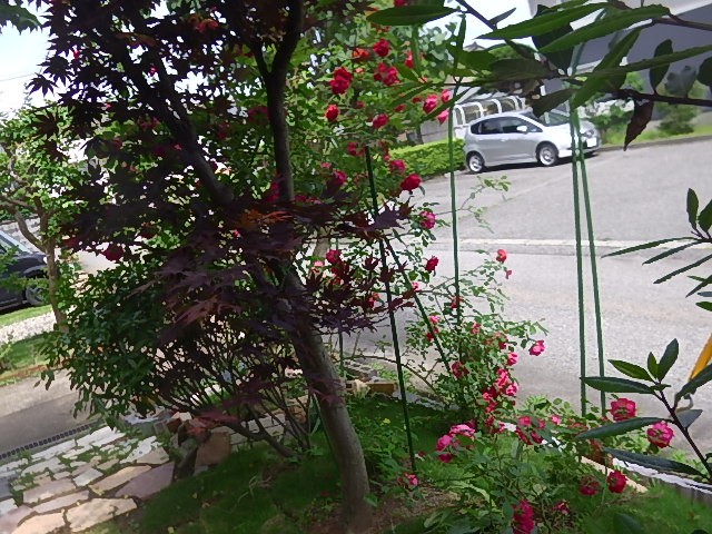 f:id:masaya50:20180525173549j:image:w640:left f:id:masaya50:20180525173549j:image:w640:left