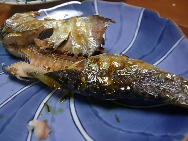 f:id:masaya50:20180706115220j:image:w640:left f:id:masaya50:20180706115220j:image:w640:left