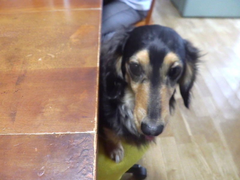 f:id:masaya50:20181208173048j:image:w640:left f:id:masaya50:20181208173048j:image:w640:left