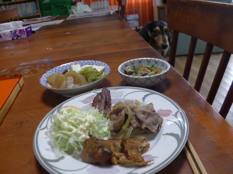 f:id:masaya50:20181223095326j:image:w640:left f:id:masaya50:20181223095326j:image:w640:left