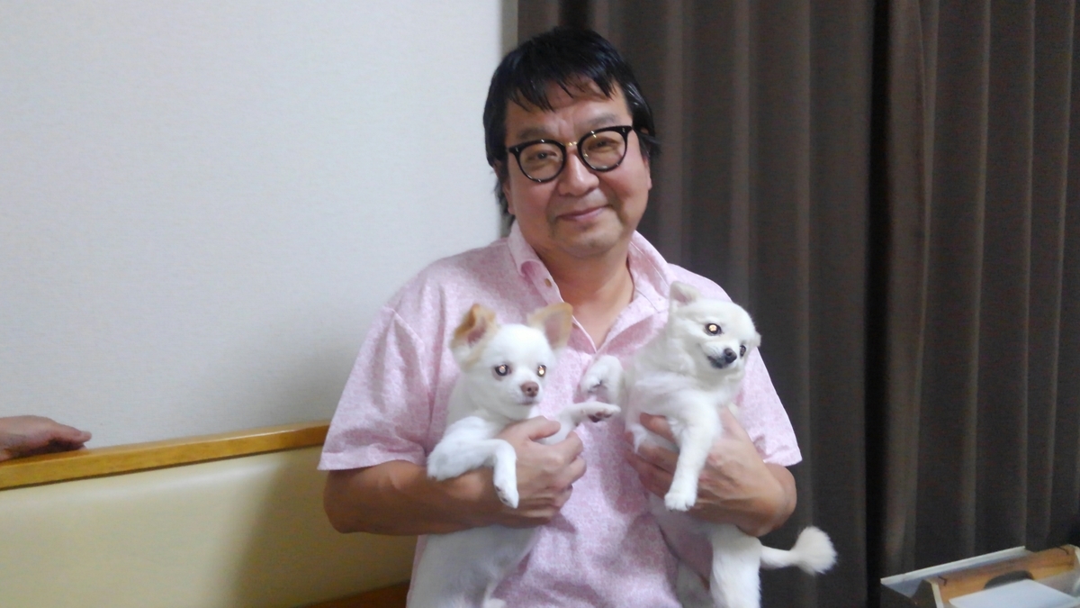 f:id:masaya50:20191018081419j:plain