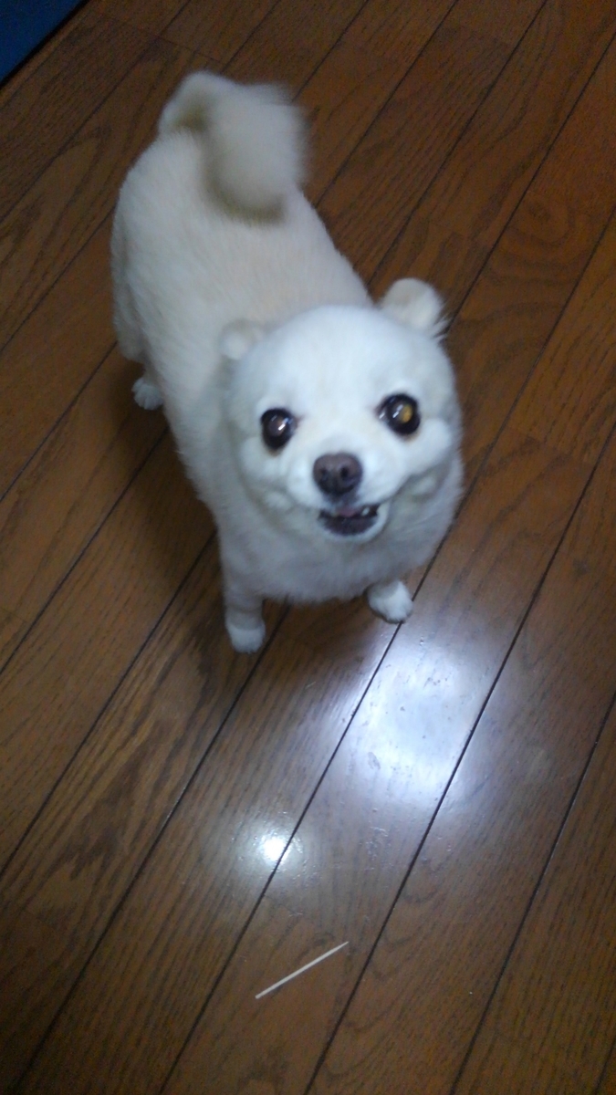 f:id:masaya50:20191018082314j:plain:w350