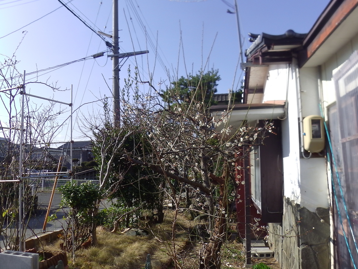 f:id:masaya50:20200327163311j:plain f:id:masaya50:20200327163311j:plain
