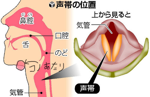f:id:masayakablog:20201230111908j:plain