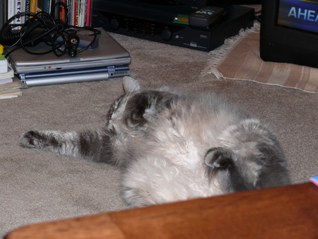 f:id:masayang:20070306213602j:image