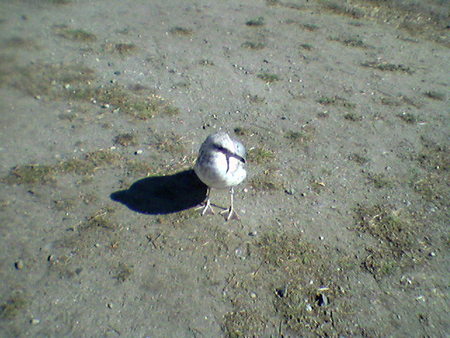 f:id:masayang:20071016013408j:image