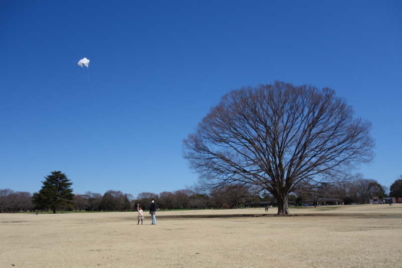 f:id:masayua:20140322104641j:image:w360